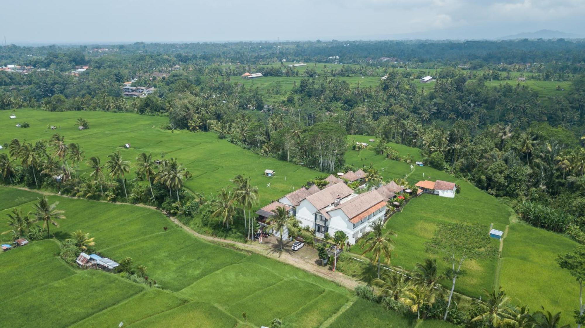 Tanta Escape Hotel Tegallalang  Luaran gambar