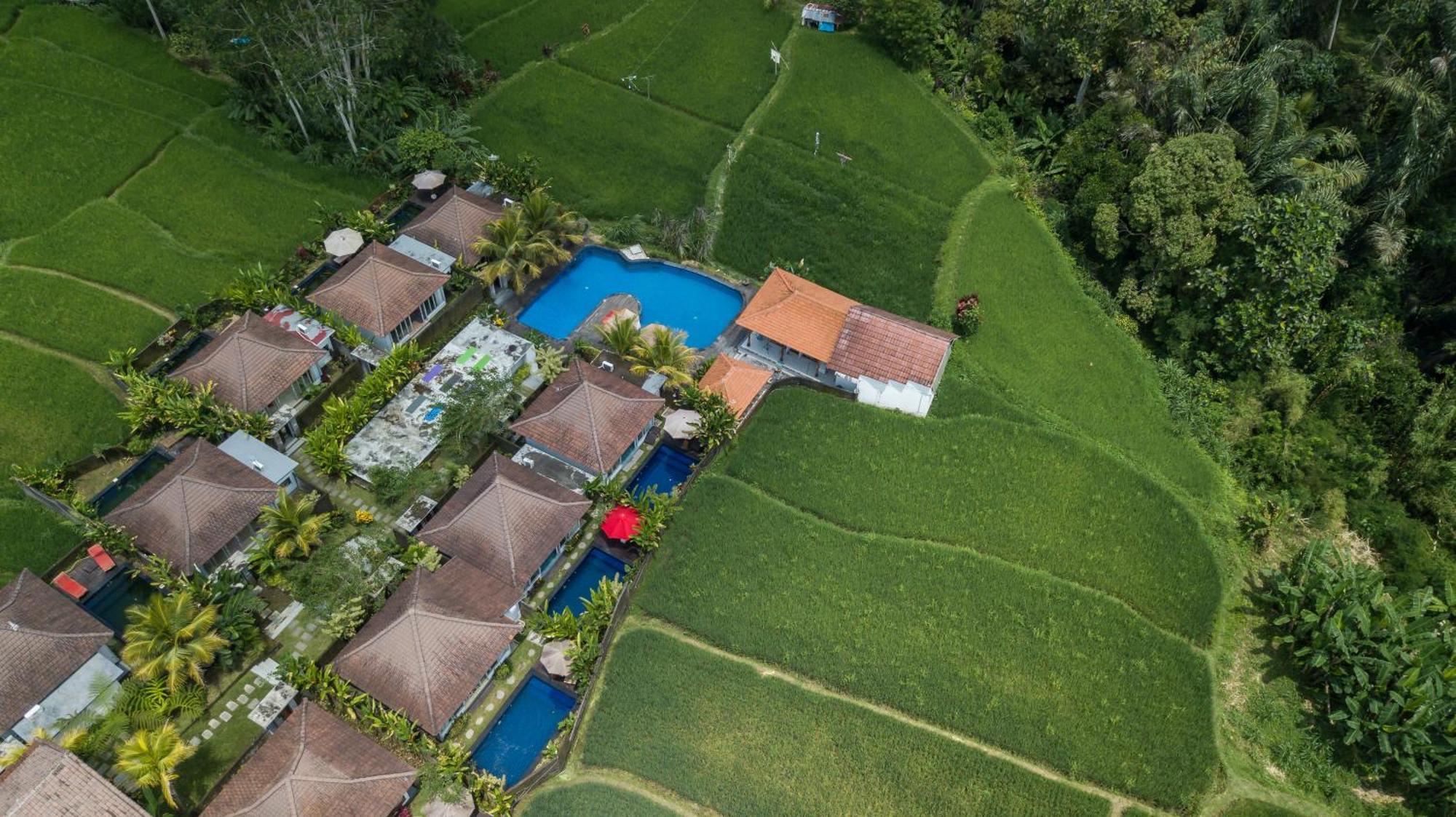Tanta Escape Hotel Tegallalang  Luaran gambar